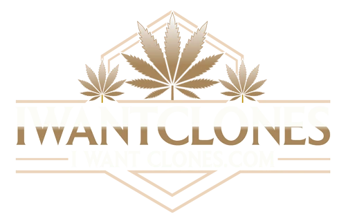 I Want Clones