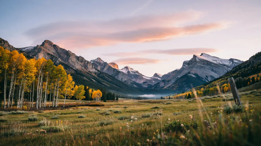 Colorado landscape - buy cannabis clones in Colorado