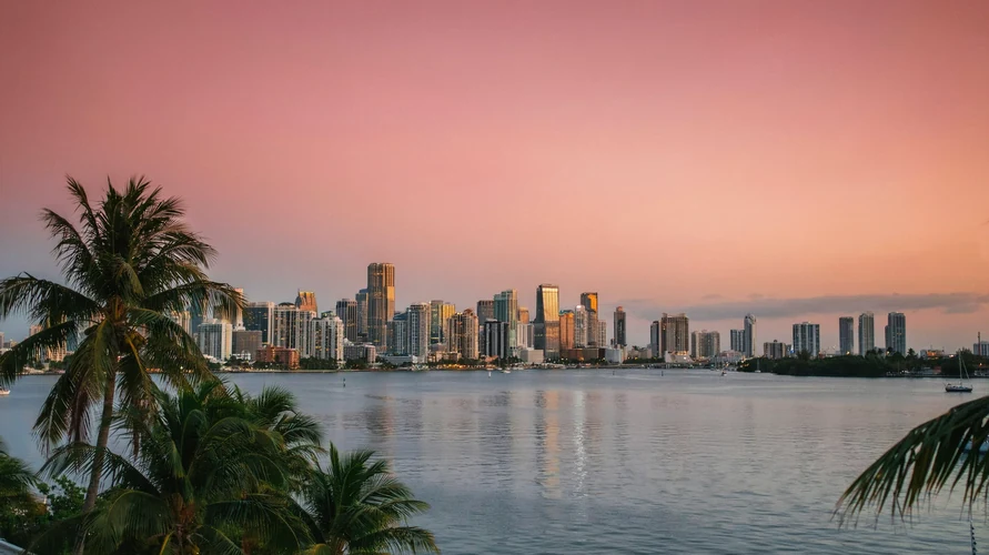 Buy cannabis clones in Florida - shipped from iWantClones