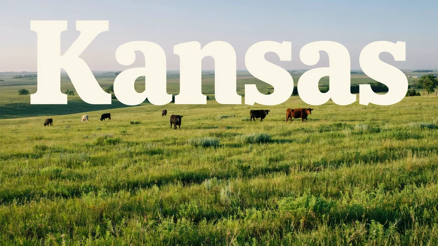 Kansas landscape - buy cannabis clones in Kansas