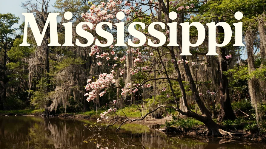 Buy cannabis clones in Louisiana - shipped from iWantClones