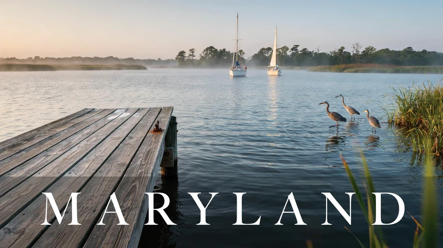 Maryland landscape - buy cannabis clones in Maryland
