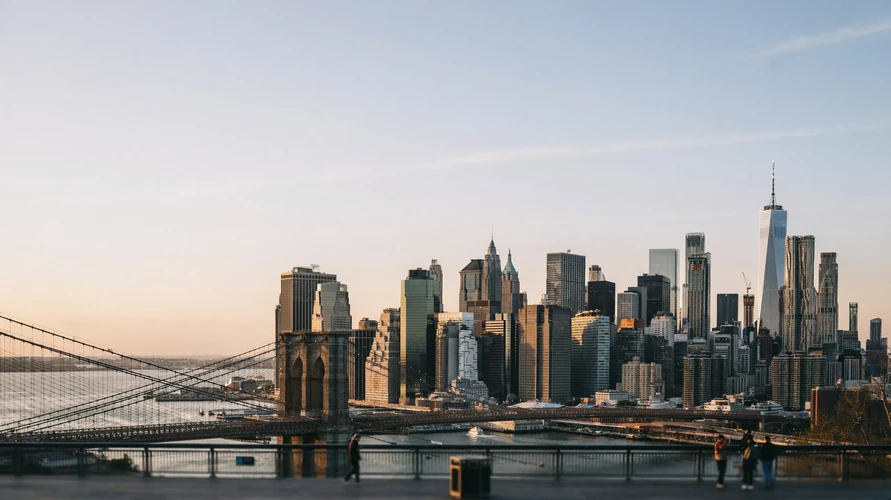Buy cannabis clones in New York - shipped from iWantClones