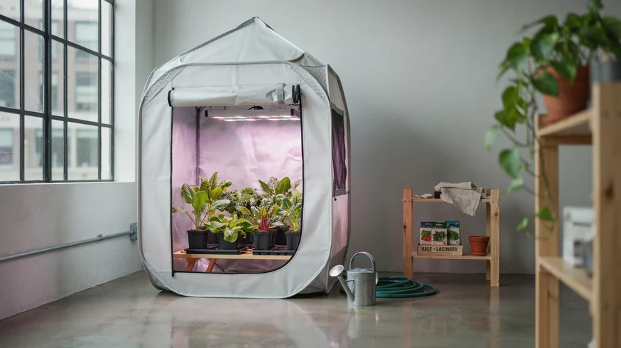 Indoor cannabis grow setup in Oregon
