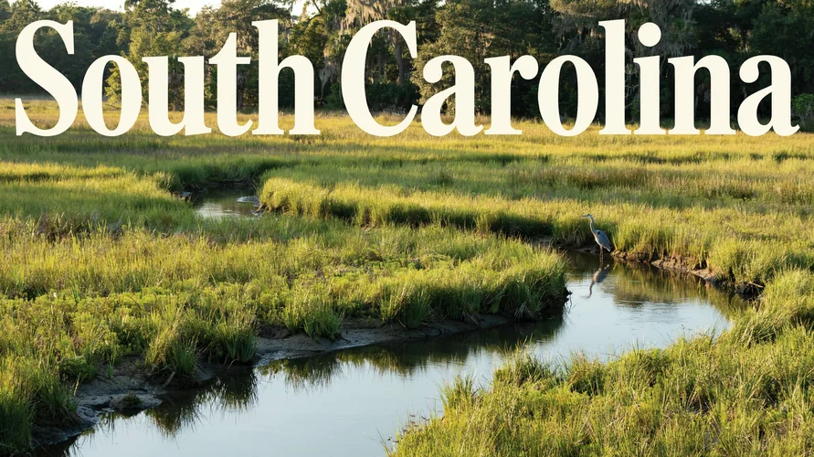 South Carolina landscape - buy cannabis clones in South Carolina