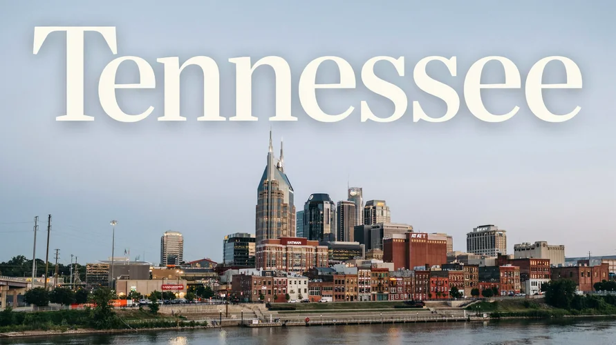 Buy cannabis clones in Tennessee - shipped from iWantClones