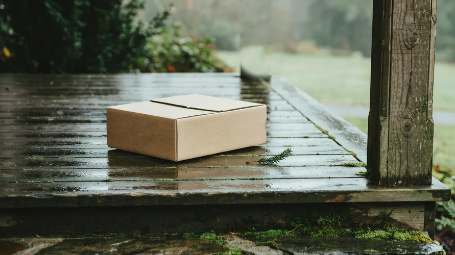 Cannabis clone package delivery in Washington